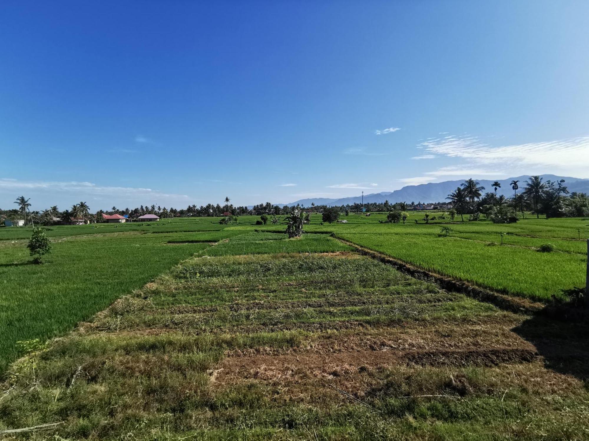 Mila Homestay Паданг Екстериор снимка